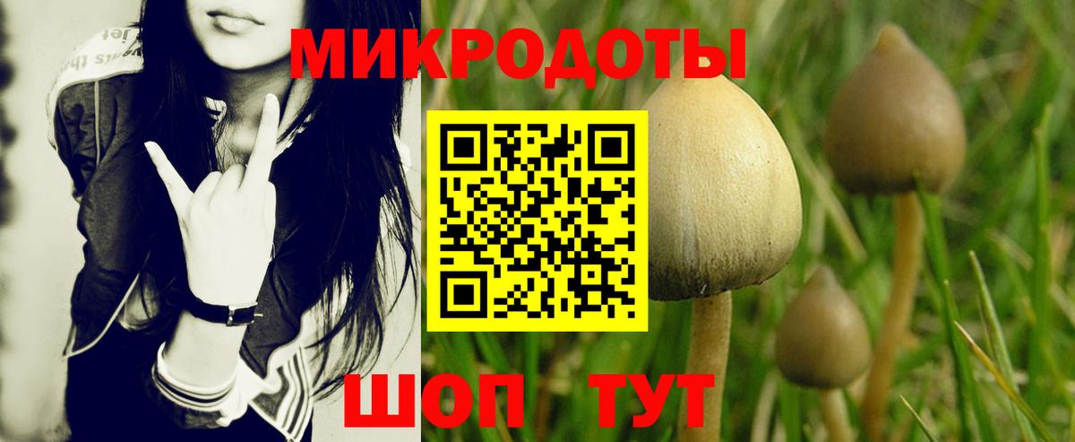 Псилоцибиновые грибы Psilocybine cubensis  продажа наркотиков  Семёнов  Вход с VPN 