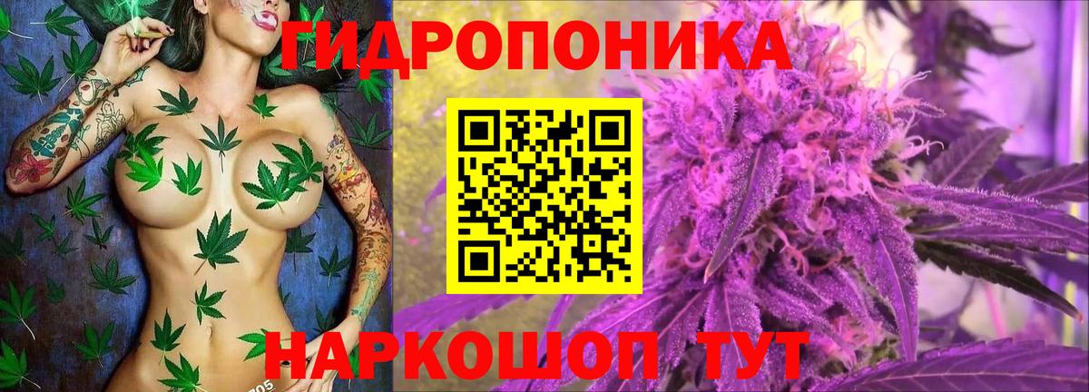 Конопля SATIVA & INDICA  Бошки Шишки семена  Вход с VPN  Бошки Шишки планчик  Семёнов  Каннабис ГИДРОПОН 